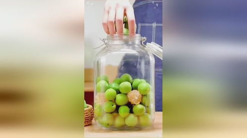 夏日冰飲罐 檸檬百香果玻璃罐與無脊椎動物的奇妙聯想