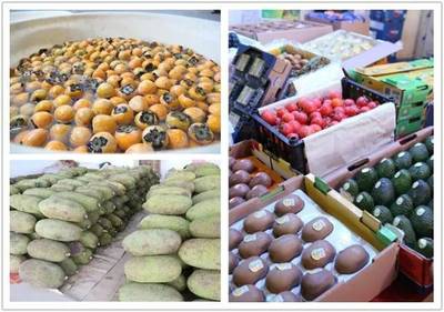 禪城南莊大型水果批發市場開業，市民迎來“水果自由”新選擇